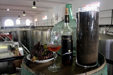 Visit Bodegas Teneguía winery in La Palma with wine Tasting
