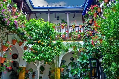 Patios de Cordoba