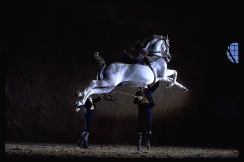 Cabriola