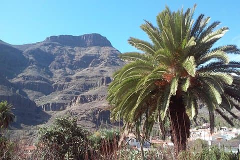 Fataga Valley