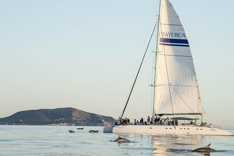 lateral catamaran mayurca