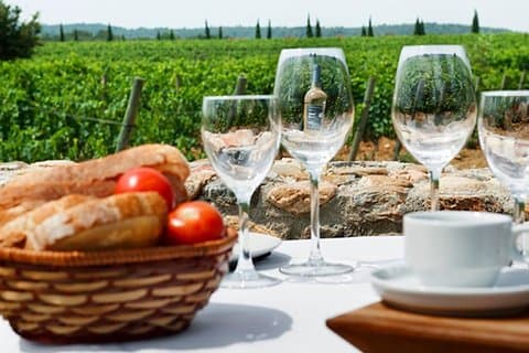 Brunch in the middle of the vineyards