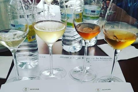 Evening Wine Tasting Córdoba