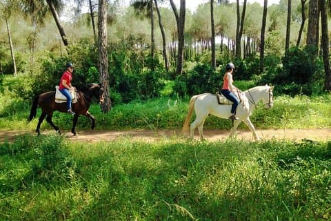 Riding through the Andalusian countryside