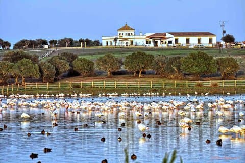 Sevilla Mountain bike tour Dehesa de Abajo Doñana