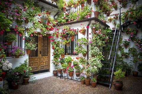 Cordoba