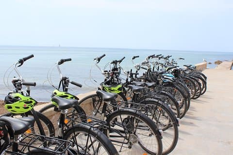 Easy bike tour in Palma