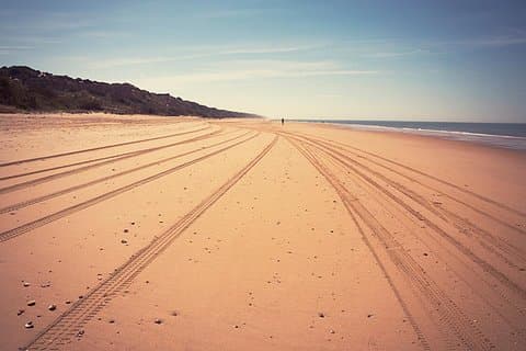 Donana National Park