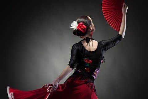 Flamenco show