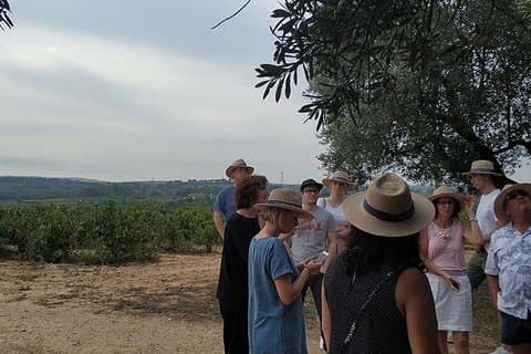 Wine Tour near Barcelona
