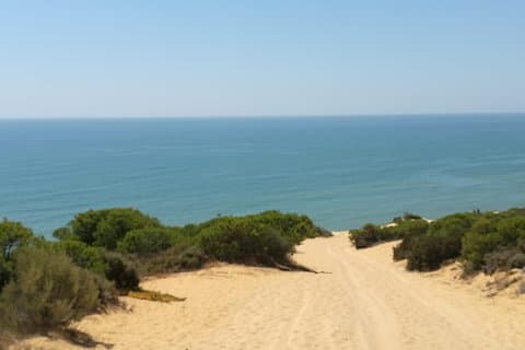 Donana National Park: Guided Day Tour from Seville