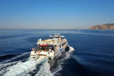 Dolphin Watching Experience in the Southwest Coast of Mallorca
