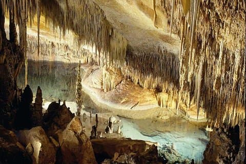 Guided Full-Day Tour of Drach Caves, Porto Cristo & Pearl Factory
