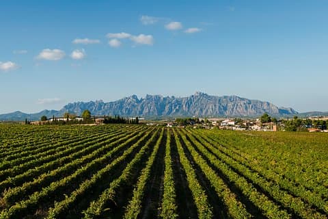 Private Montserrat and Cava Winery Tour with Hotel Pick Up from Barcelona