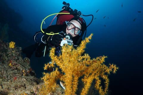Single Dive for qualified divers from shore, region Puerto del Carmen.