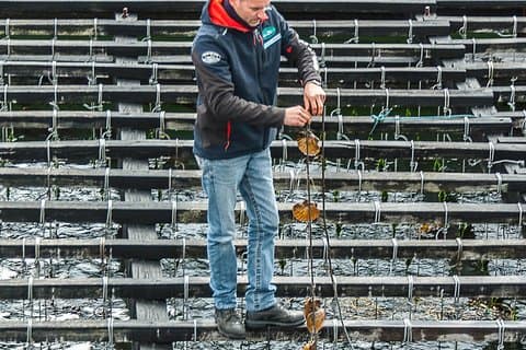 Mussel Farm