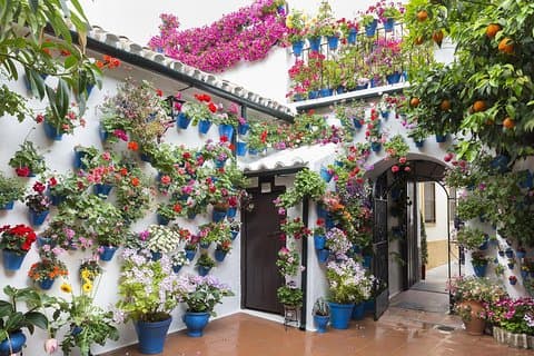 CORDOBA