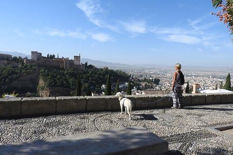 View of the Alhambra from the Albaicín.