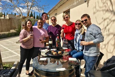 Private Winery Tour near Madrid with Sommelier (6-hour)