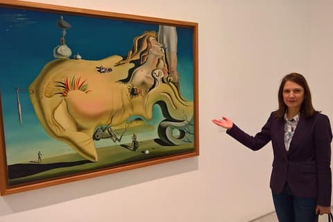 Reina Sofia Museum Private Tour