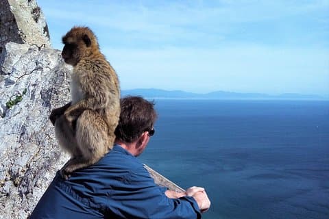 Africa at the distance