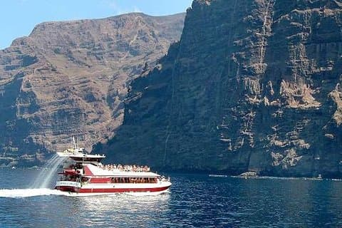 4'5-hour Royal Dolphin and Whale Watching Excursion in Tenerife