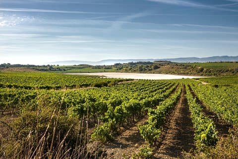 La Rioja wines and Laguardia tour from Bilbao