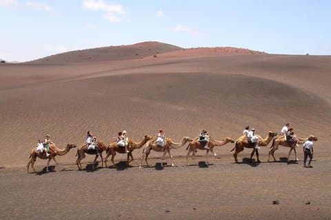 Full Day Tour to Timanfaya, Green Lagoon and La Geria