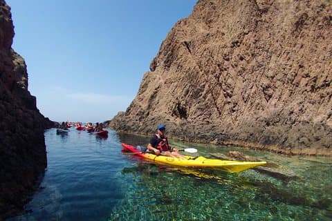 Specialized guides