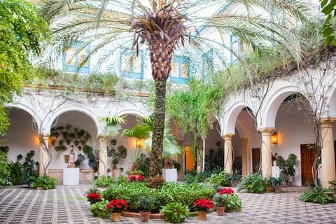 Guided tour of the Viana Palace and its Patios