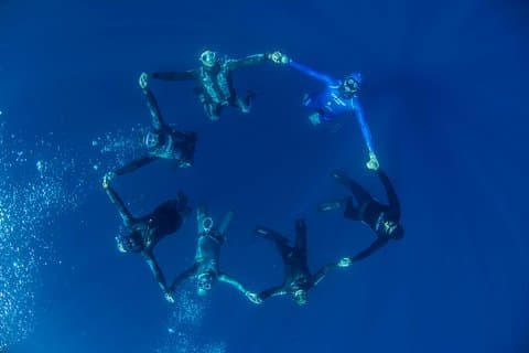 Apnea Discovery