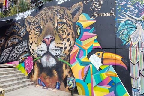 Colombia's biodiversity portrayed in Comuna 13's street art