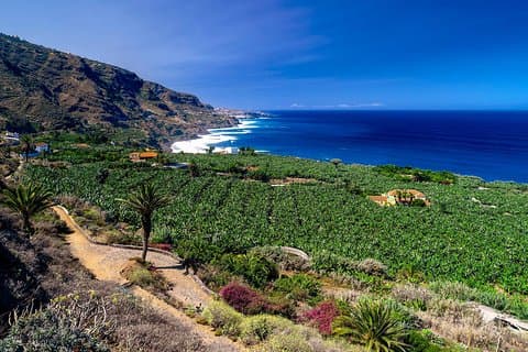 The scenic northern coast of Tenerife