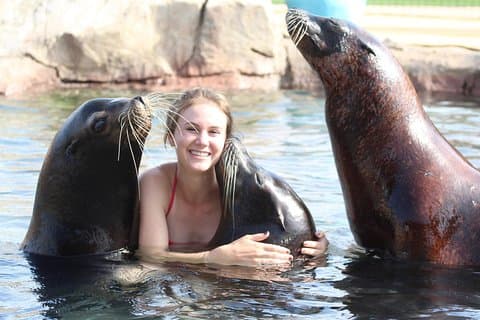 Experiencia Leones Marinos