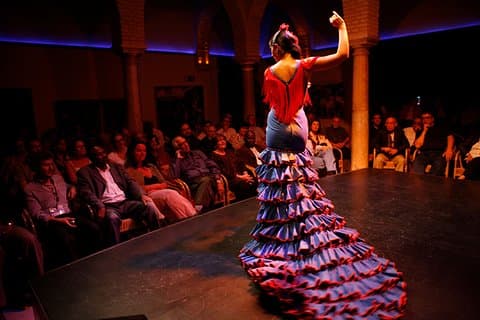 Seville: Puro Flamenco Show - Museo del Baile Flamenco