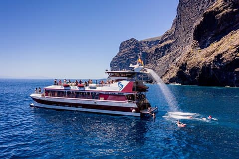 Dolphin and Whale Watching - Los Gigantes Masca - Lunch and Swim