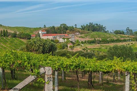 Albariño Private Wine Tour from Santiago de Compostela