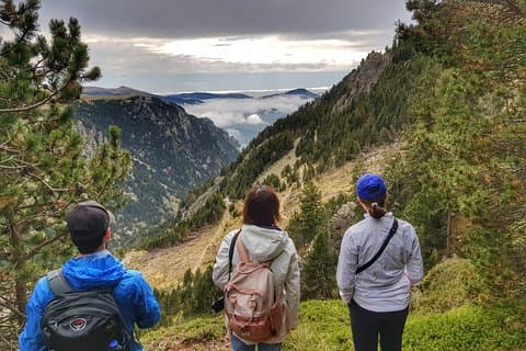Admire the spectacular views and wildlife in the Pyrenees.