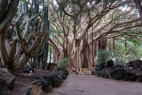Botanical Garden