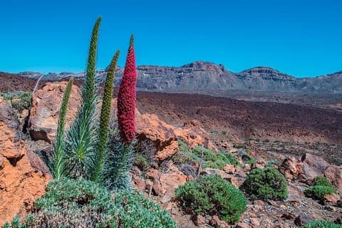 Teide National Park