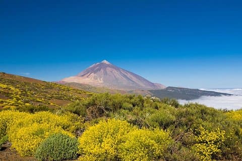 Volcano & Mt Teide Private Tour in Tenerife