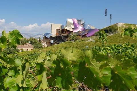 La Rioja wines and Laguardia tour from Pamplona