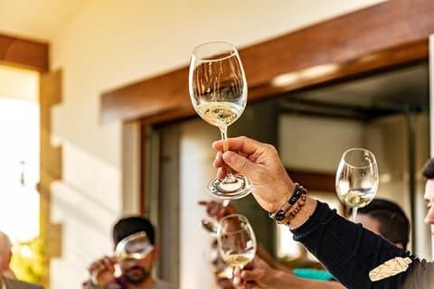 Txakoli wine tour from Bilbao