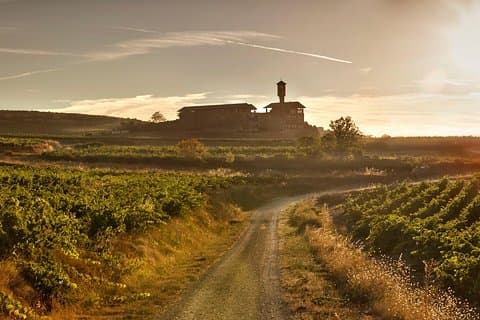 La Rioja wines and Laguardia tour from Vitoria