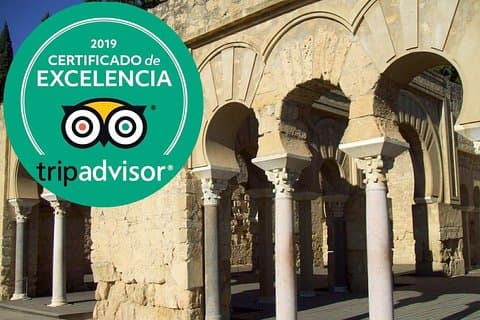 Guided visit to Medina Azahara