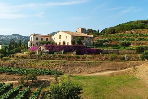 Private Breakfast Winery Experience - Private Wine Tasting Tour