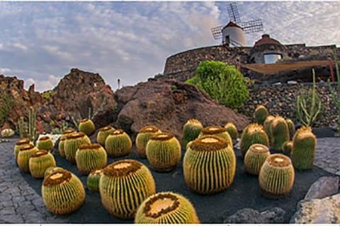 Lanzarote Highlights. Private Tour with Pickup (price per vehicle, not p.p.)