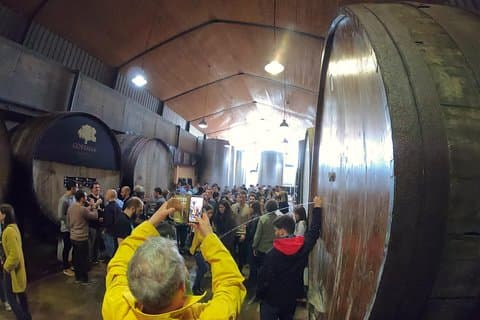 Live in the cider house, the tradition of the txotx.