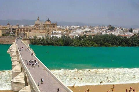 Cordoba private tour from Granada including the great Mosque
