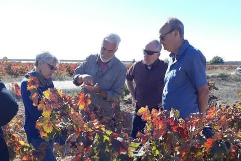 Explaining about the grapes...